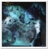 Nieodkryty magiczny świat, astrologia, niebo, konstelacje, gwiazdozbiór, mityczne zwierzęta, znaki zodiaku, hipogryf, zamek Drakuli, smok, smoki, skóra smoka, smocza łuska, złoty smok, napisy, litery, runy, alfabet runiczny, wierzenia nordyckie, las, jele